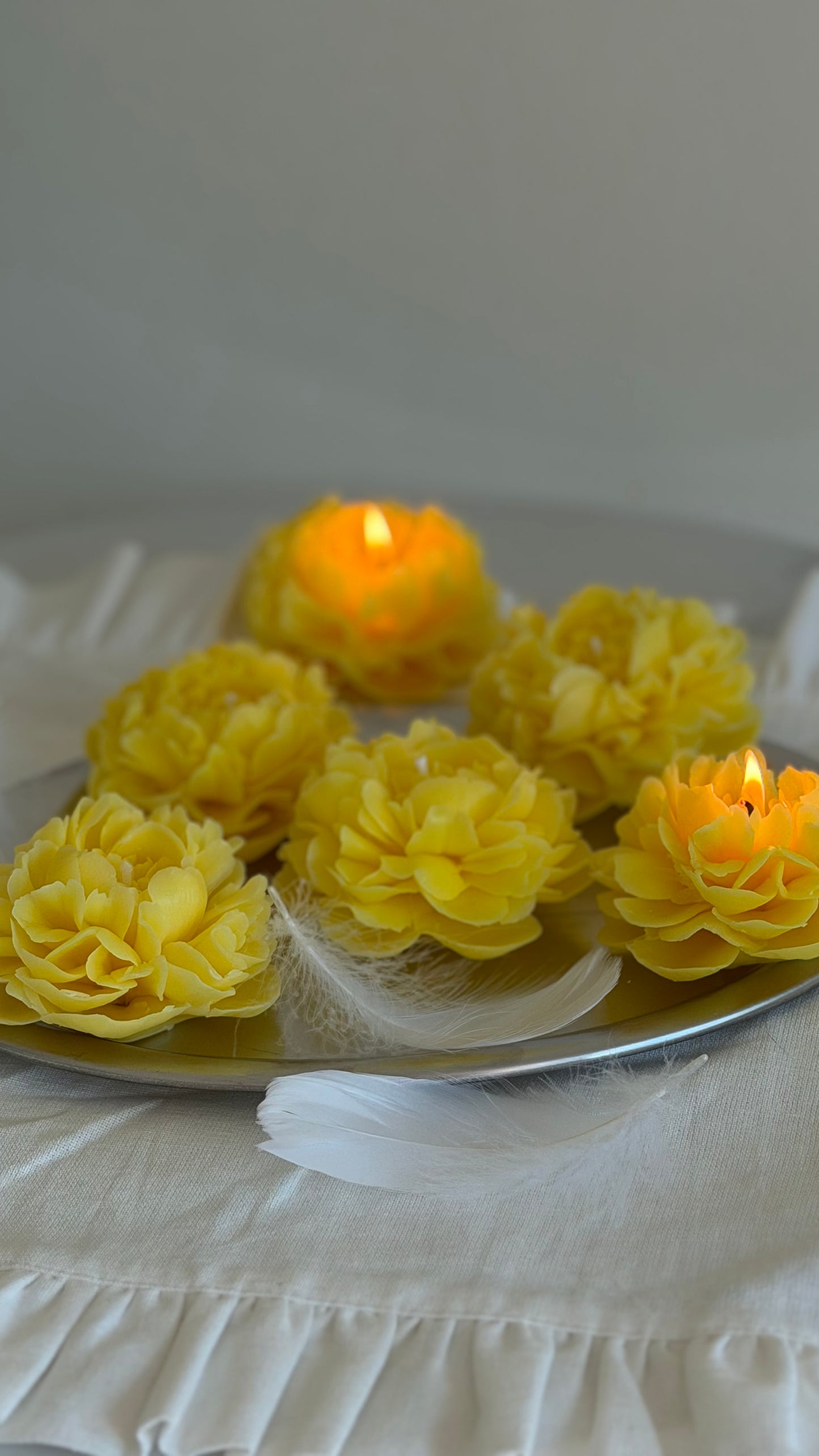 The Peony Bloom
