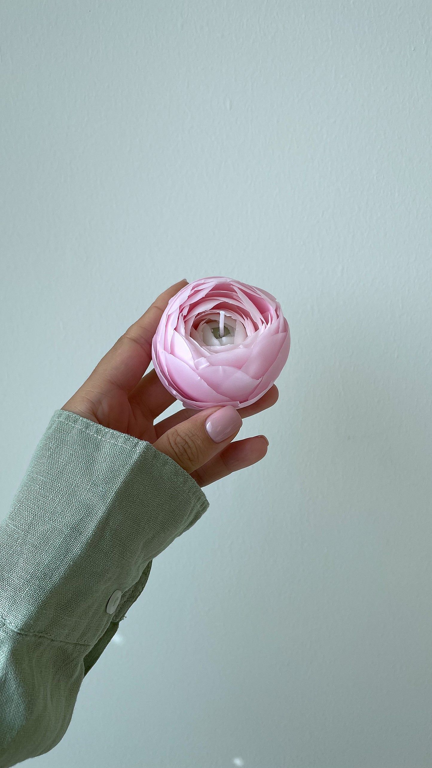 Artisan Ranunculus