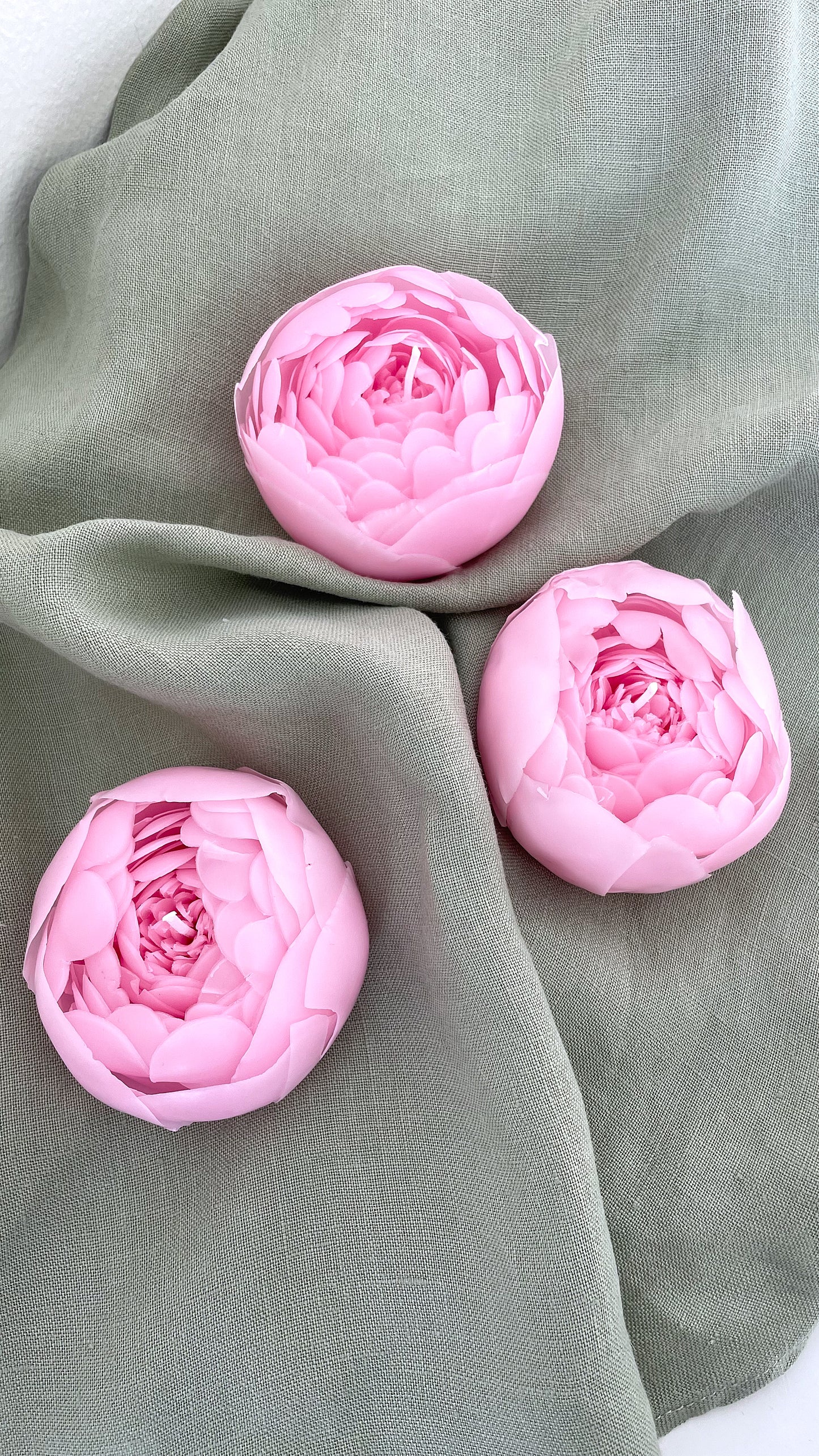 Artisan Peony