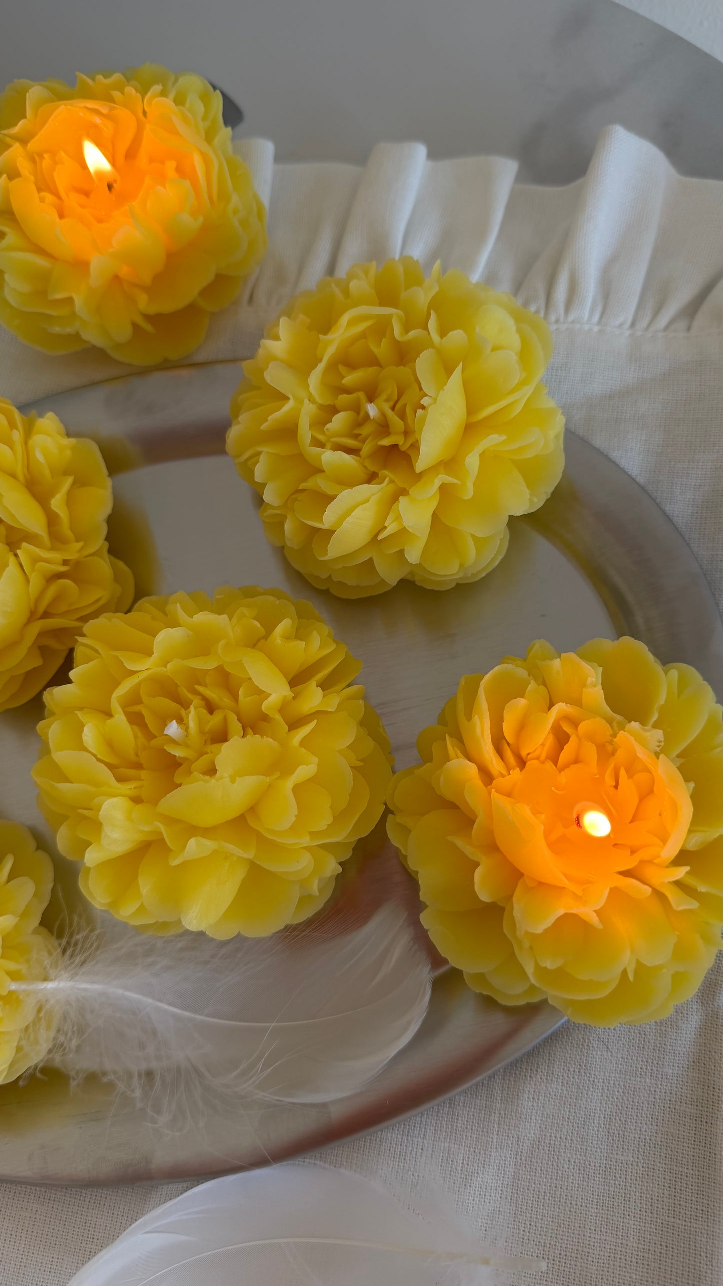 The Peony Bloom