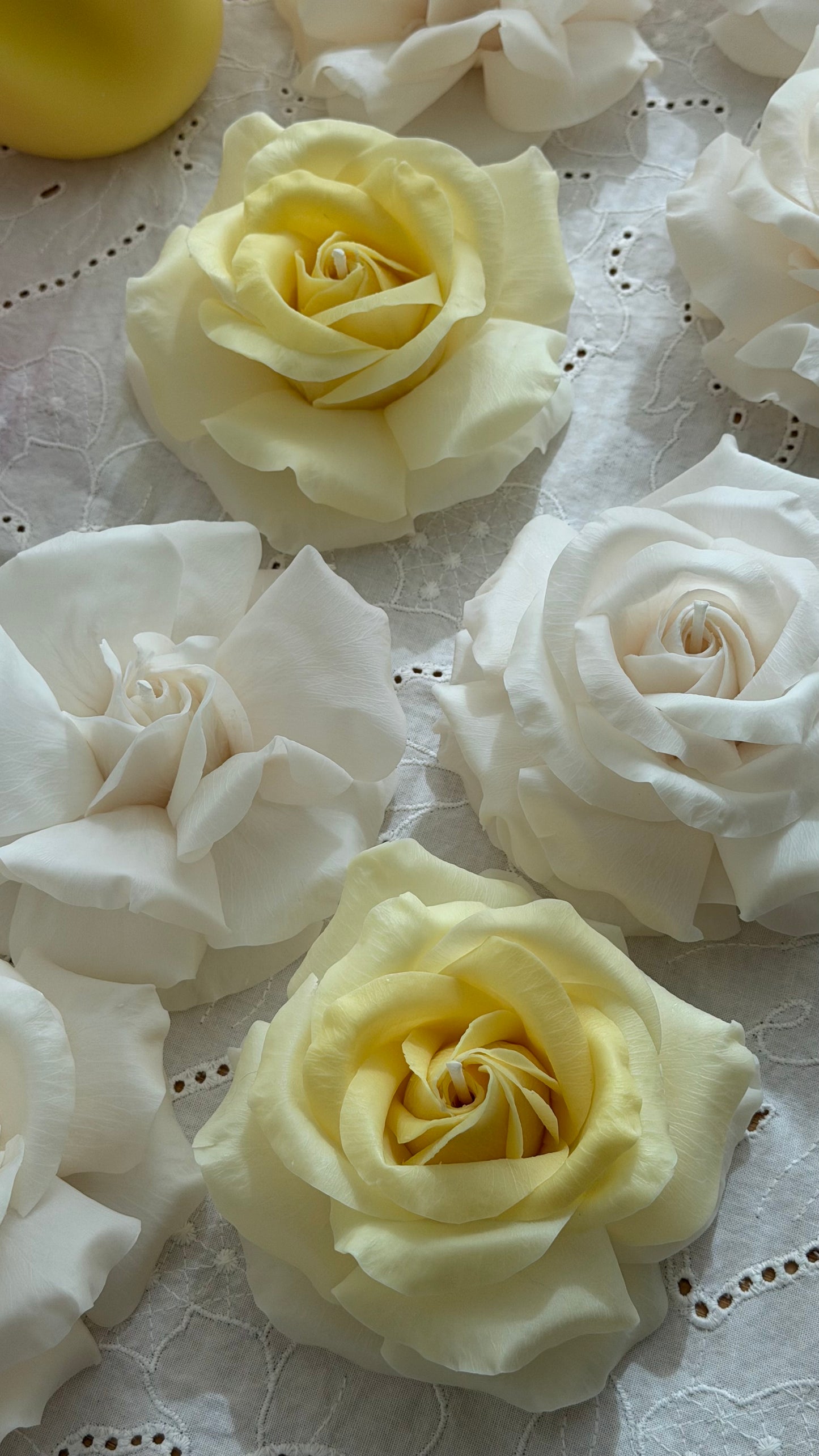 Artisan French Rose