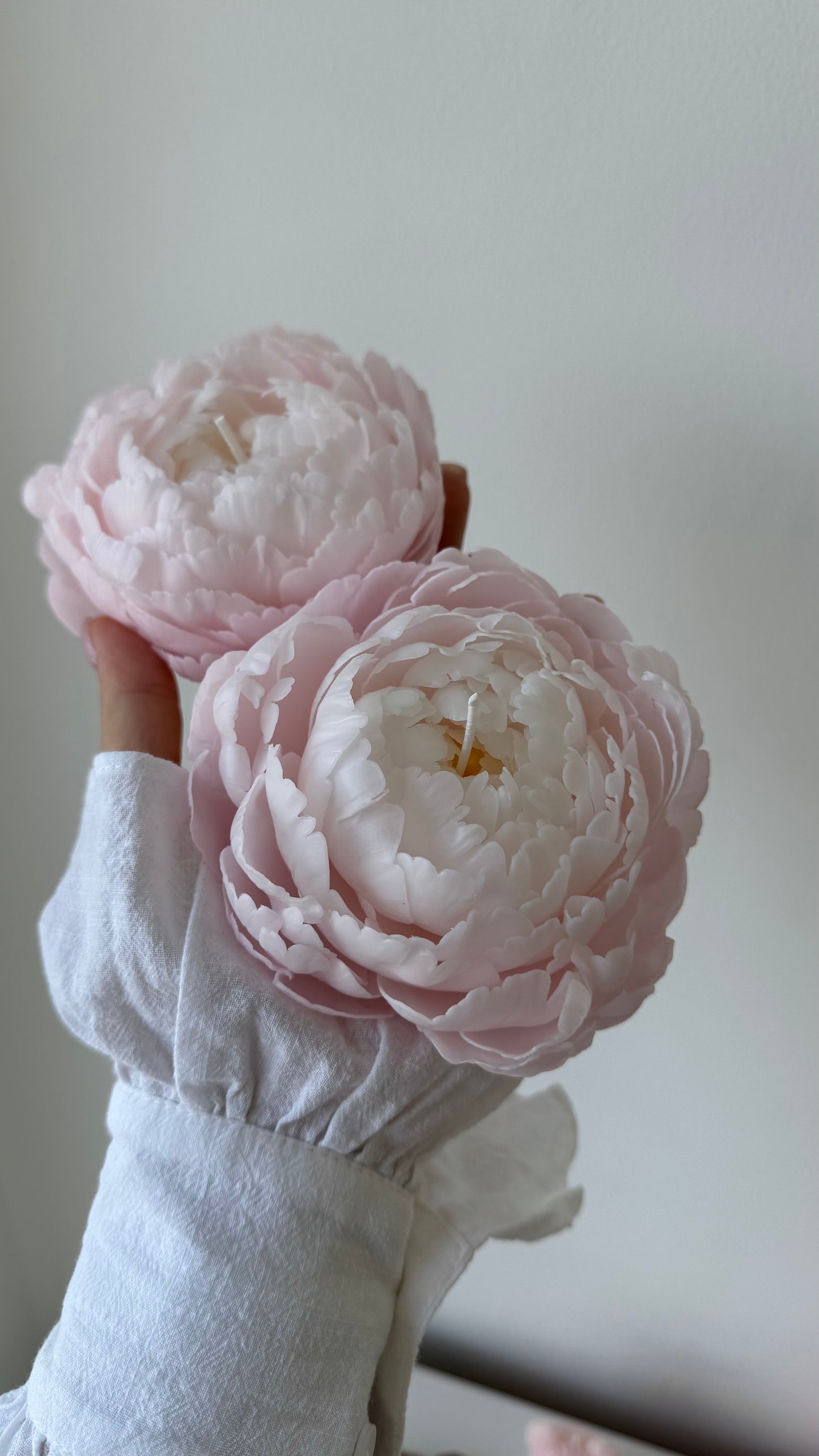 The Airy Peony