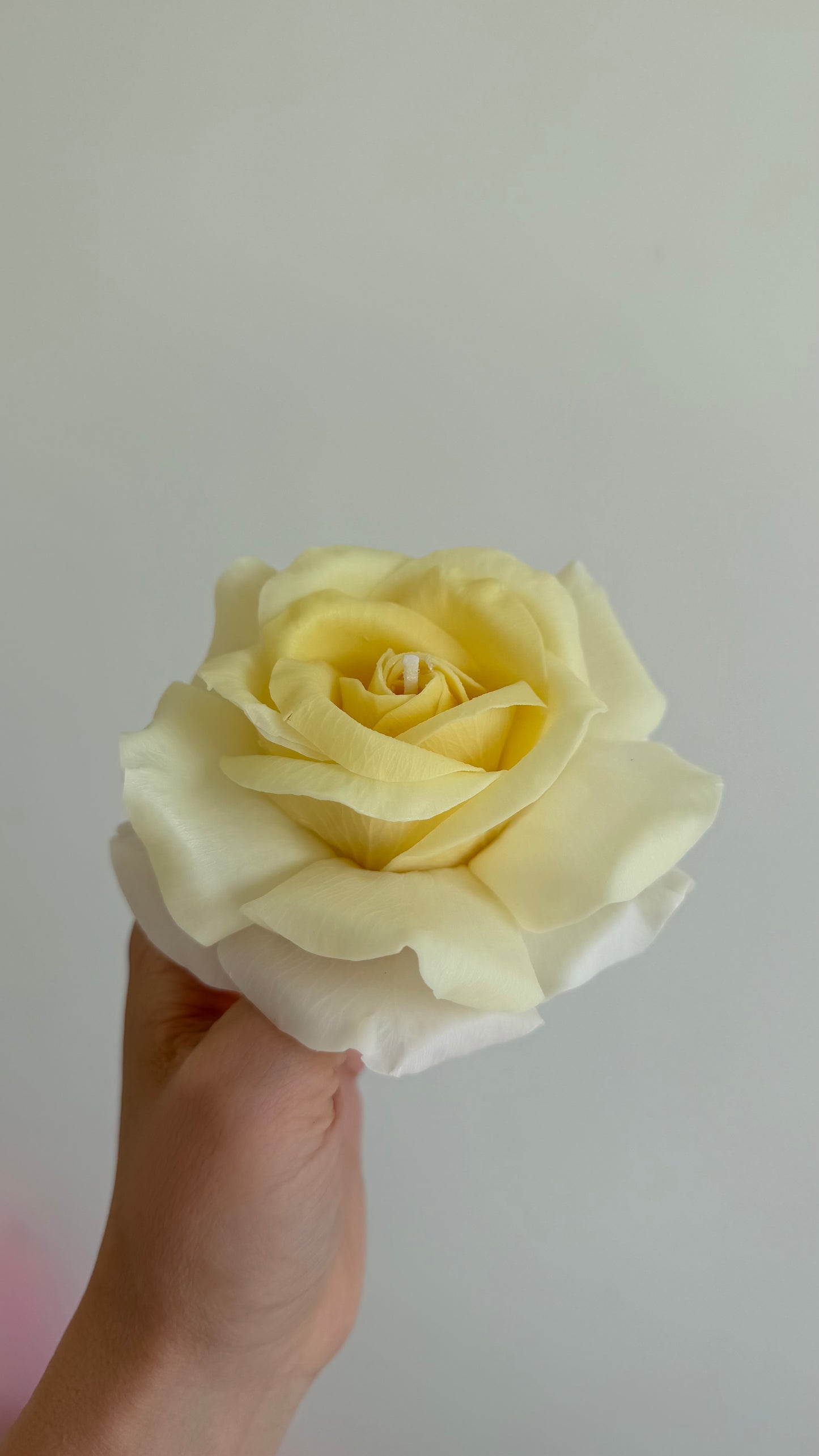 Artisan French Rose