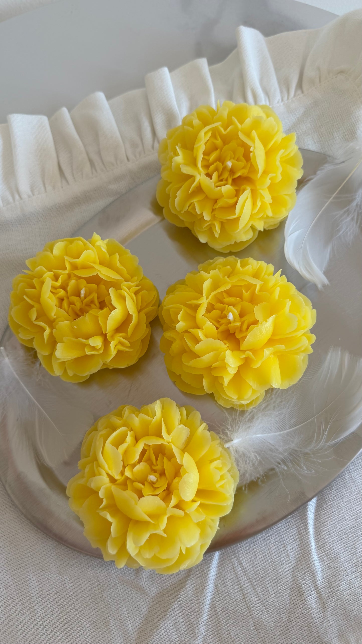 The Peony Bloom
