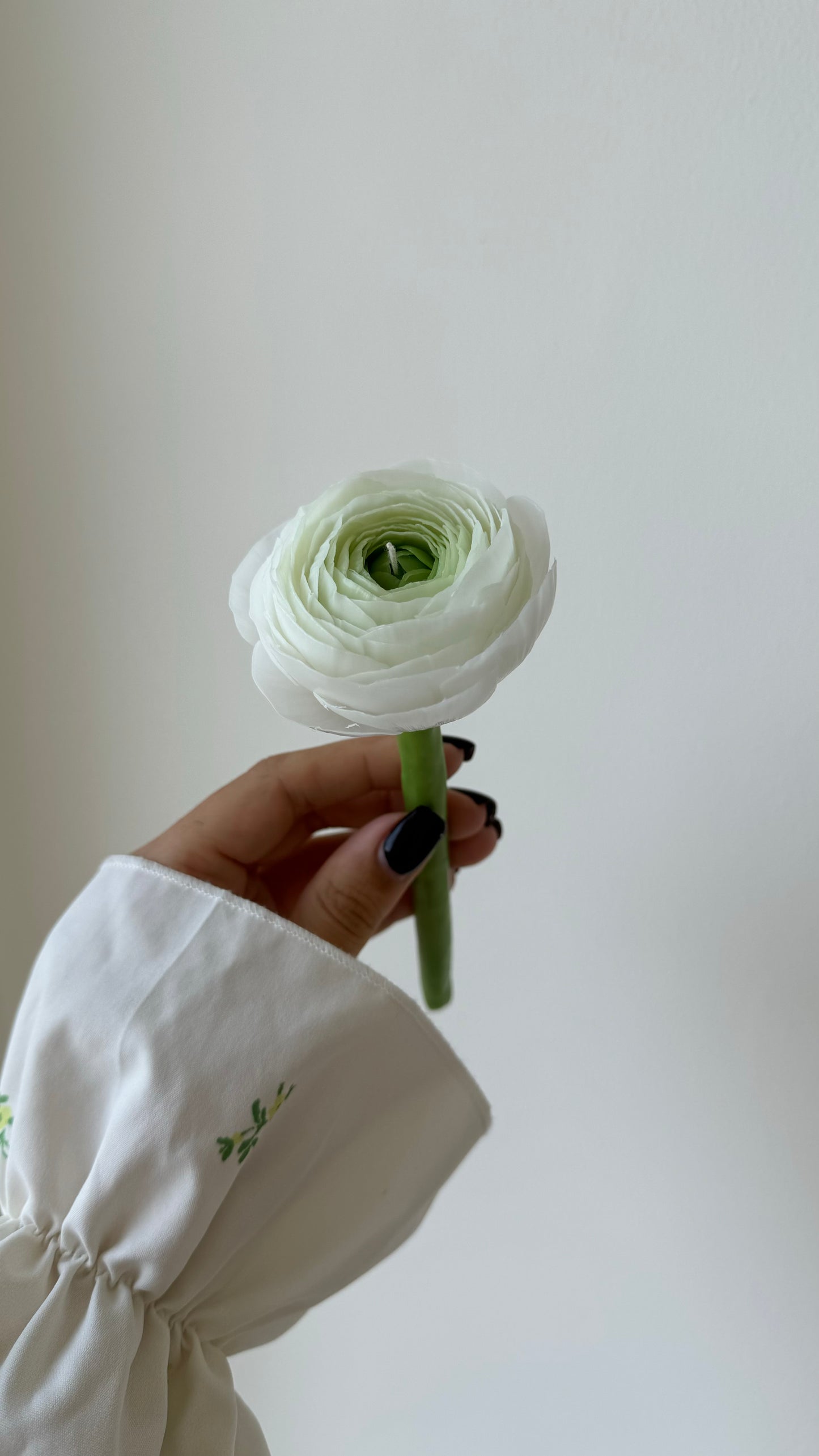 Artisan Ranunculus (With Stem)