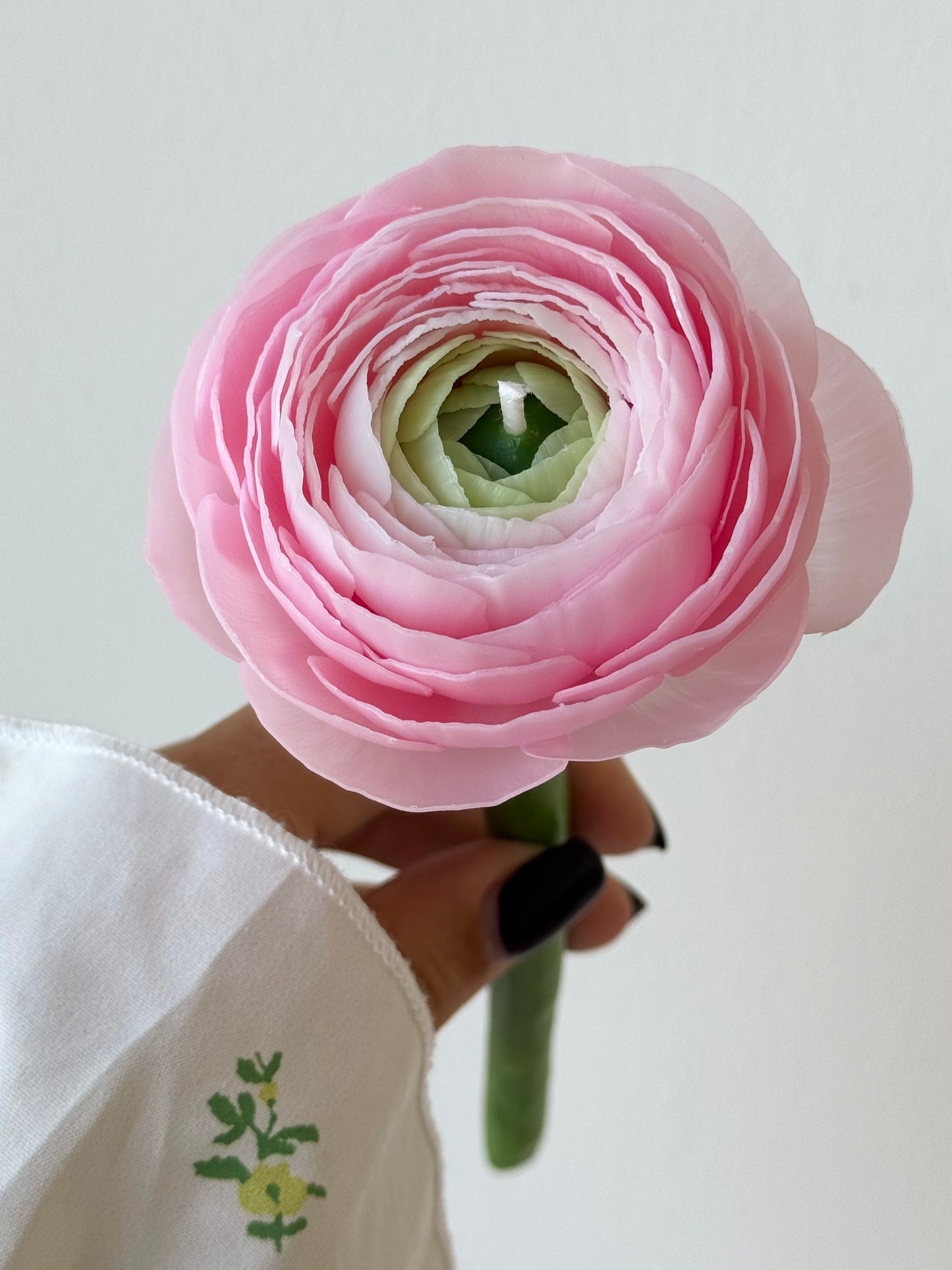 Artisan Ranunculus Masterclass